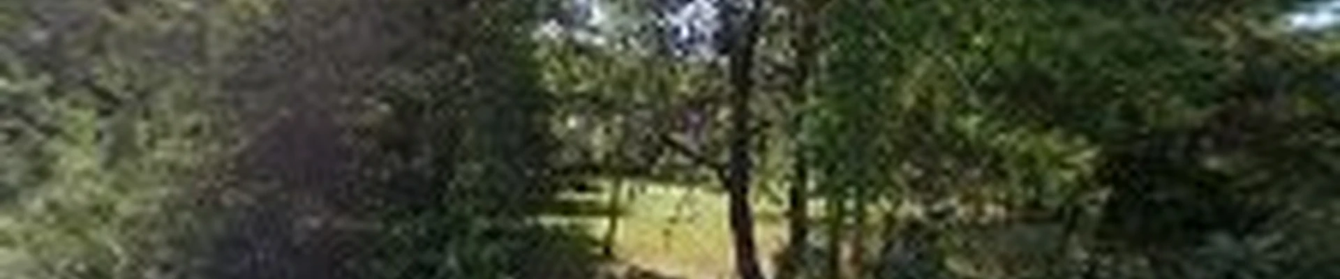 Fisher Property Maintenance