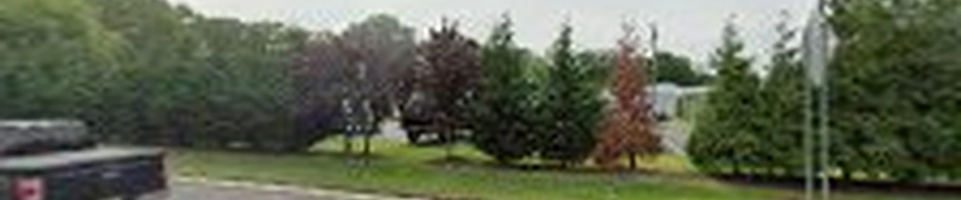E-Z Tree Care and Removal Service - South Jersey