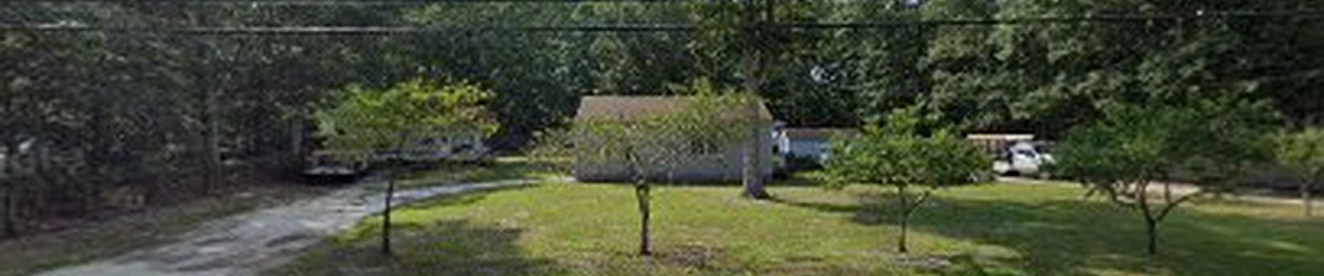 D&S Tree Service