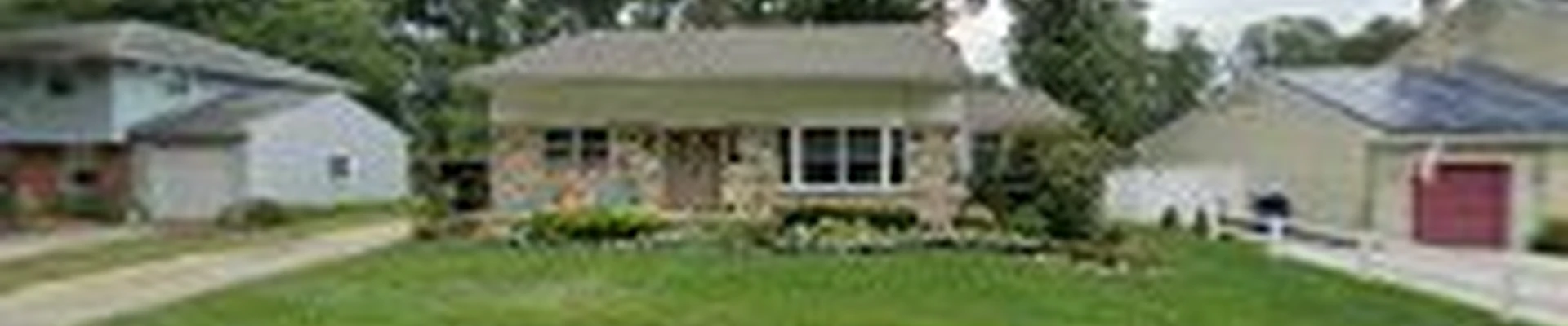 V&R Tree Service