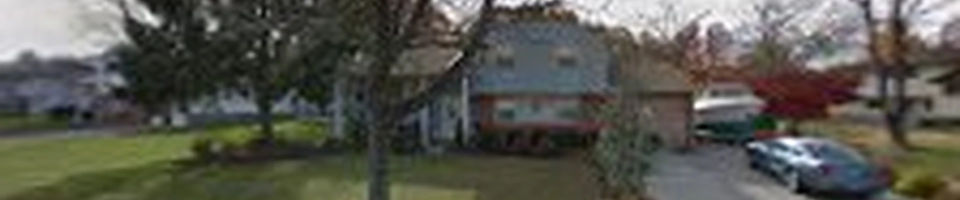 T&D Tree Service