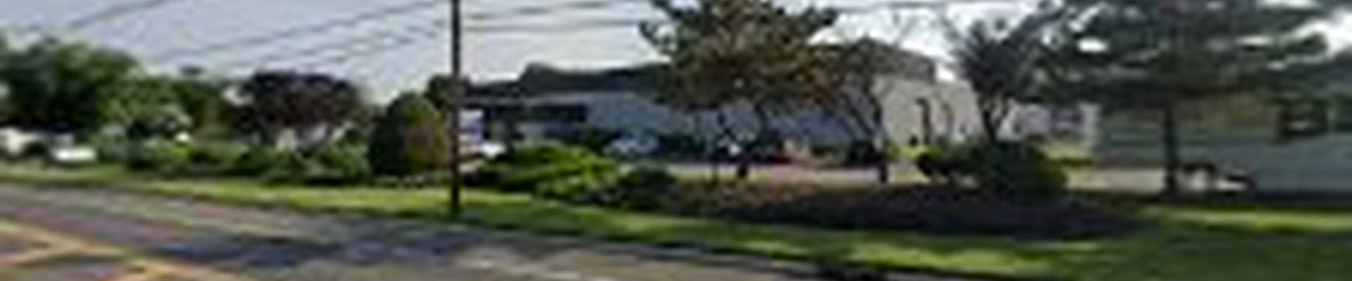 Taylor Expert Arborists - Tree Trimming and Tree Removal Services