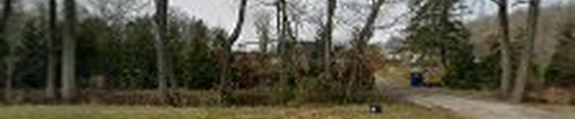 Big Timber Tree Service LLC