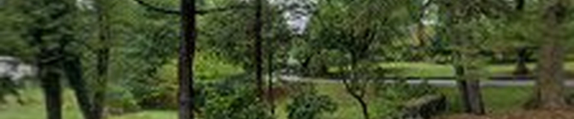 Arborway Tree Service, Inc