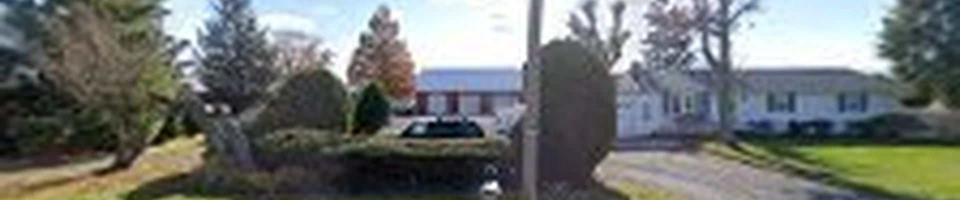 Lewis' Lawn & Tree Service LLC