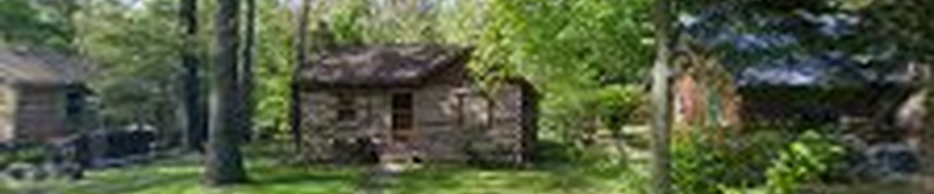 Day Tree Service LLC