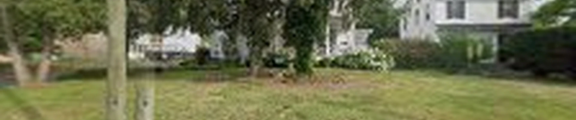 Carlos P Tree Service LLC