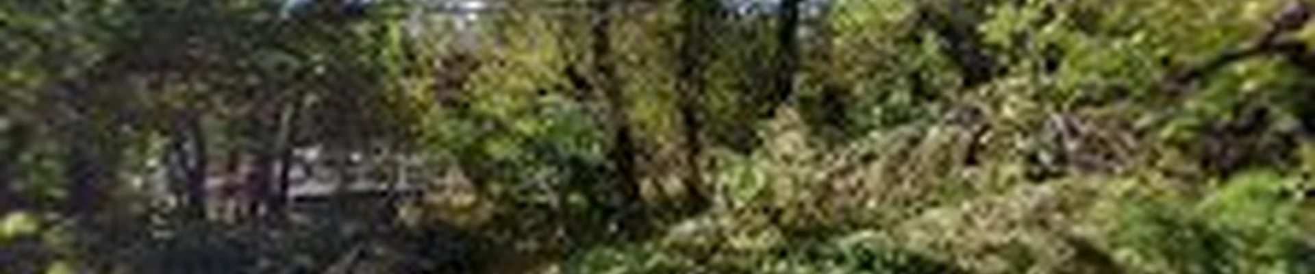 Norman Tree Service INC