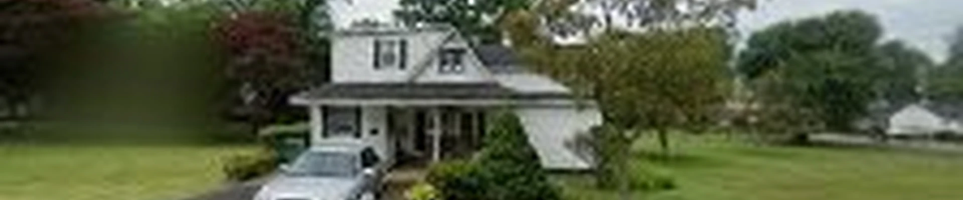 Tom's Tree Service Plus