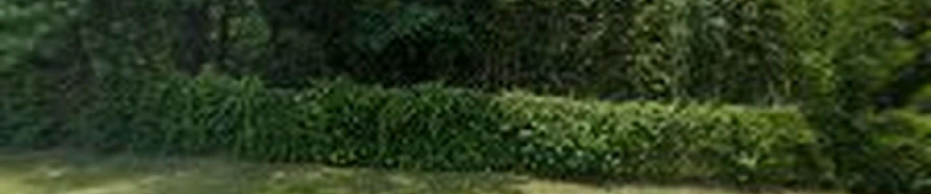 Mike's Tree Service, Inc.