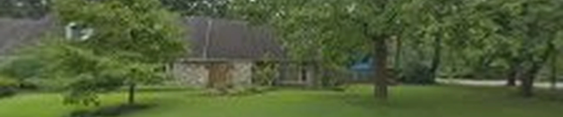 Big A Stump Removal & Tree Services