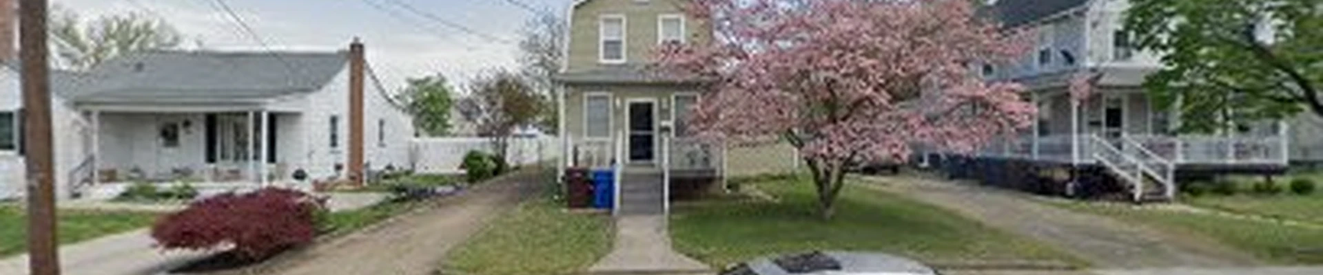 Tree Services in Riverisde New Jersey -Jimmys tree experts llc
