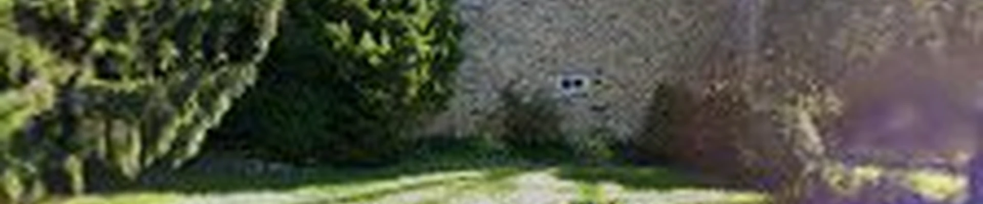 Weeks Tree Service