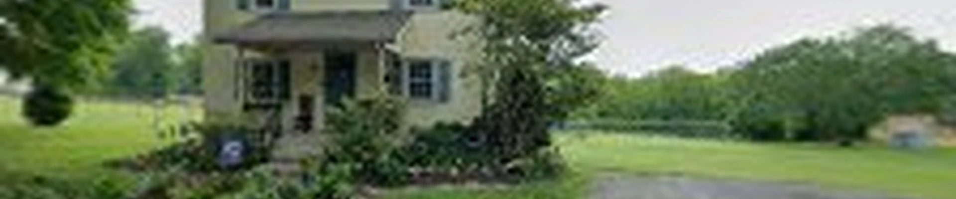 Snyder & Sons Tree Surgeons