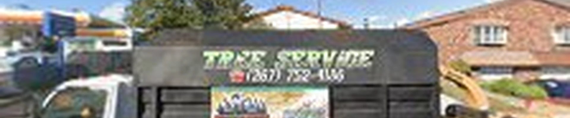 Progressive Discount Tree Service
