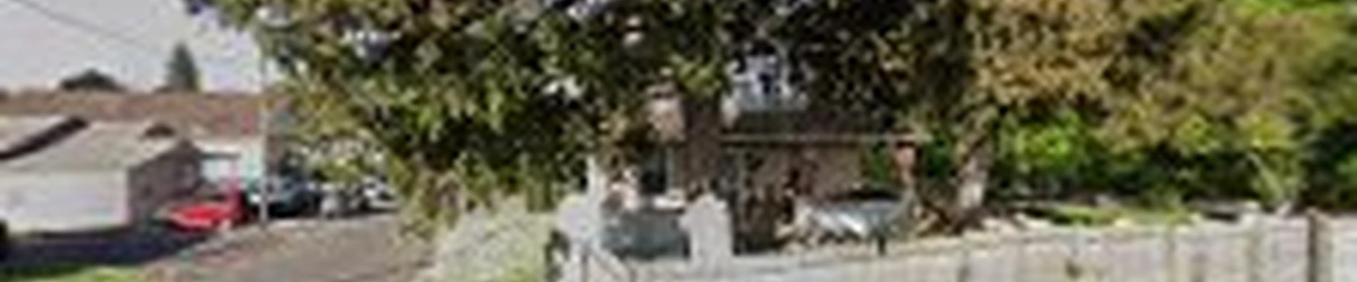 Pineda Tree & Lawn Service