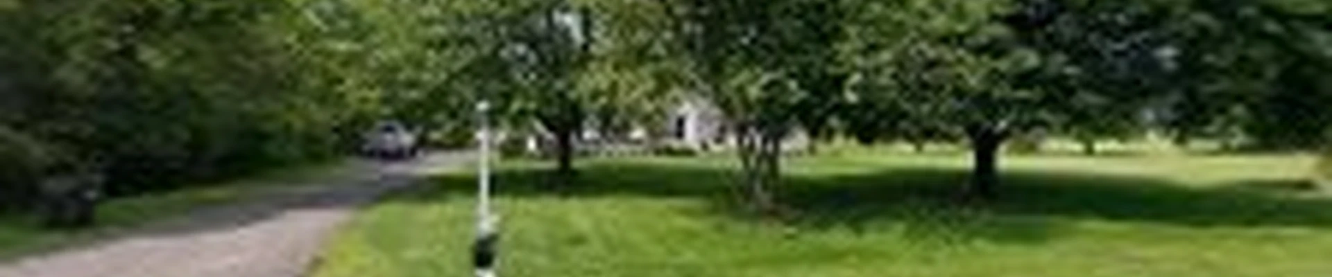 McCauley Tree Service