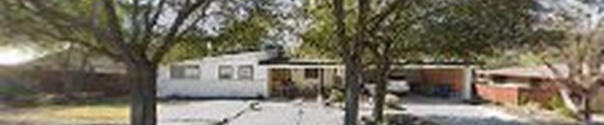 Verdant Tree & Landscape Inc.
