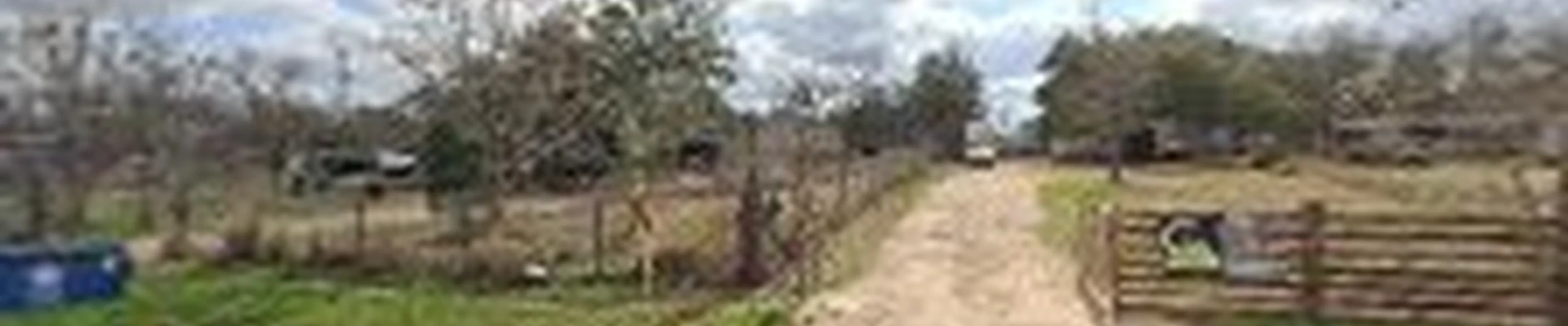 Legacy Tree Services in San Antonio TX