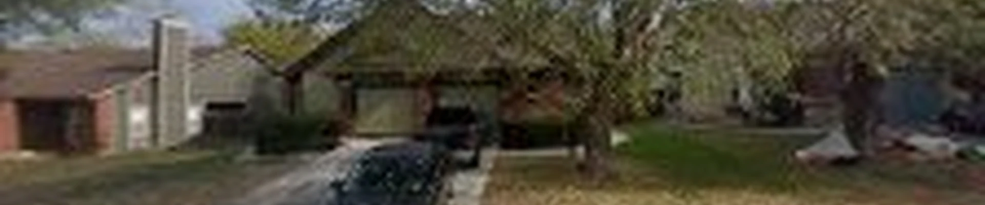 All Arbor Tree Trimming San Antonio
