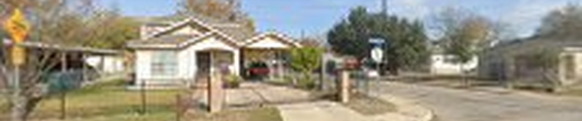 Tree Experts San Antonio