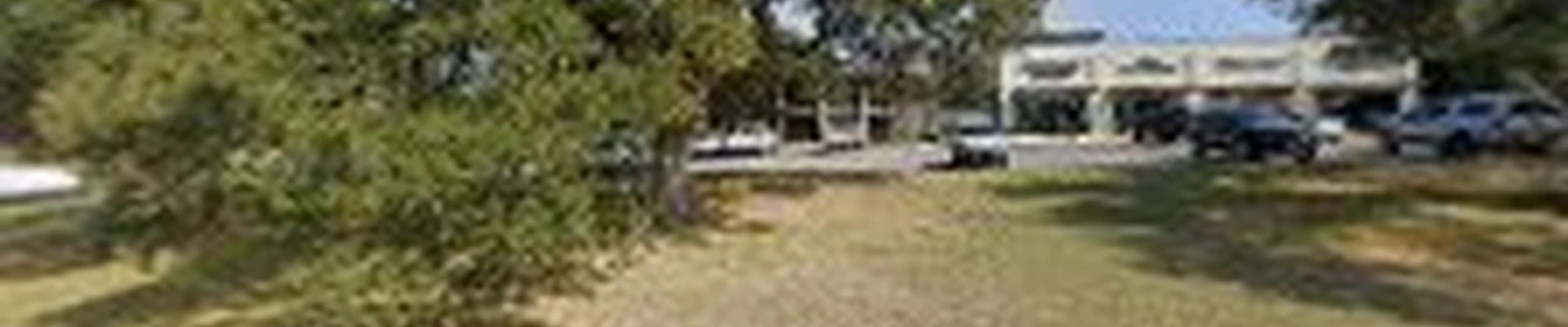 Central Texas Tree Service