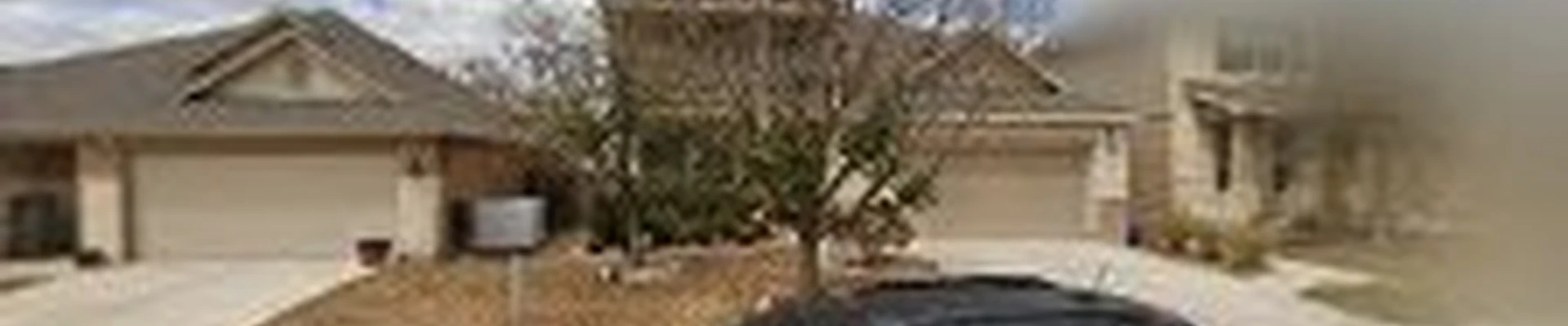 Dapper Tree Service