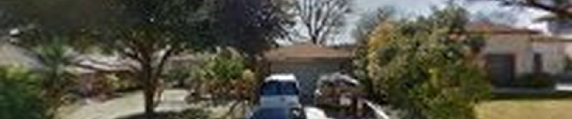 Live Oak Tree Service & LANDSCAPE