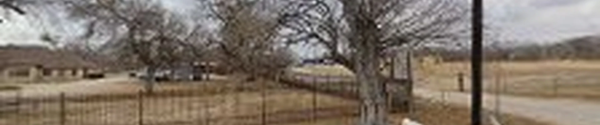 Alamo City Land Improvement