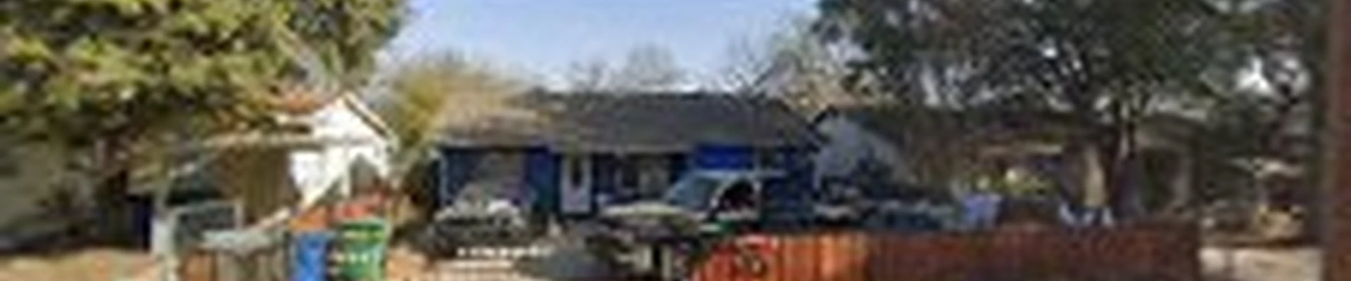 Timber Tree Care