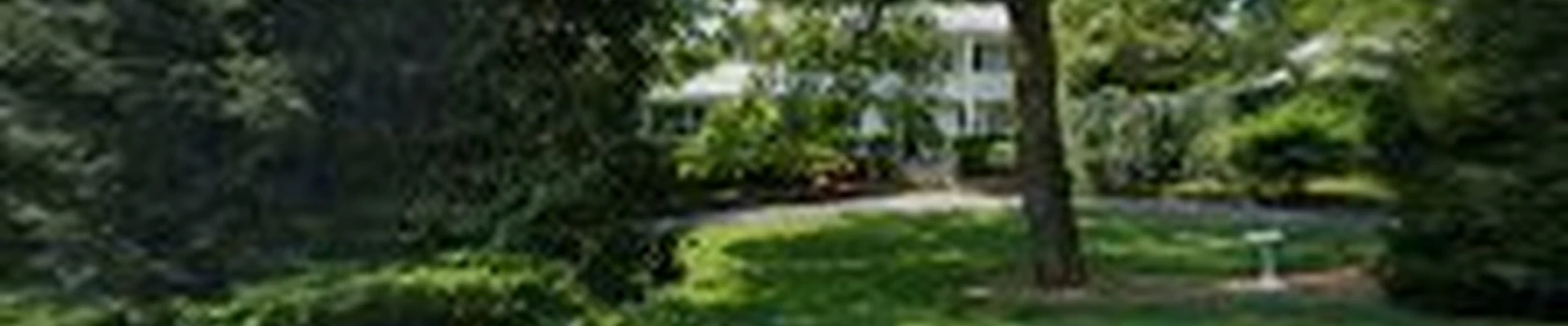 Affordable Arborists Services Co