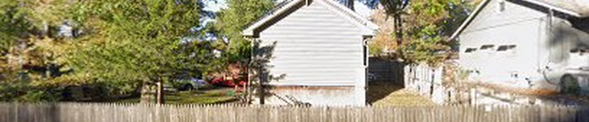 Timber Tree Services