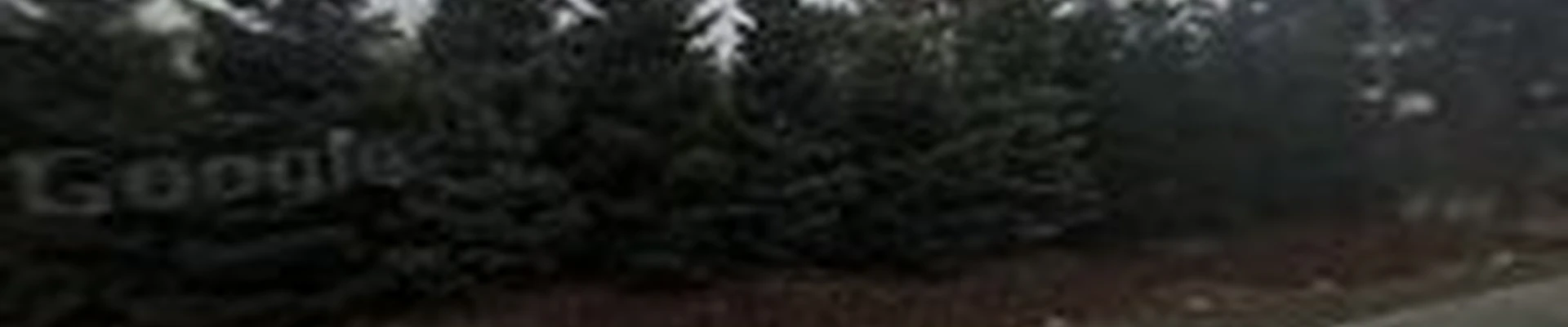 Double Tree Trimming & Removal Services