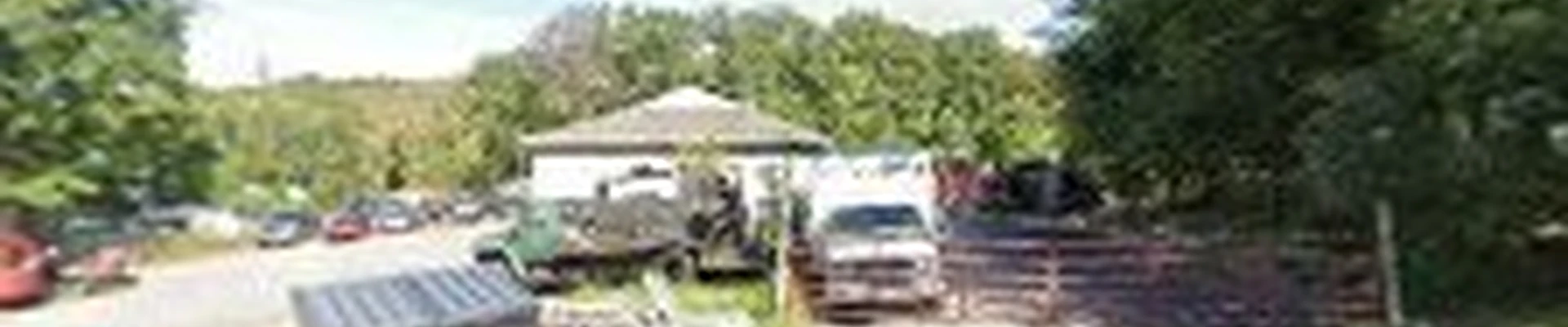 Rayal Tree Care Company