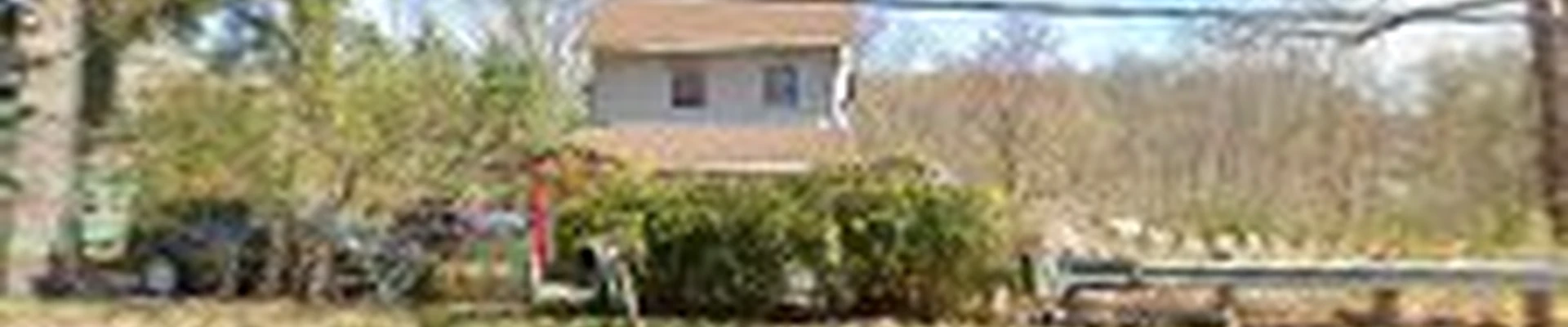 Bloom Tree Care