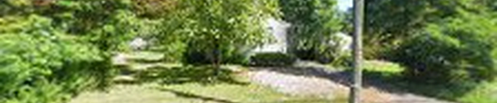 Happy Trees Services INC