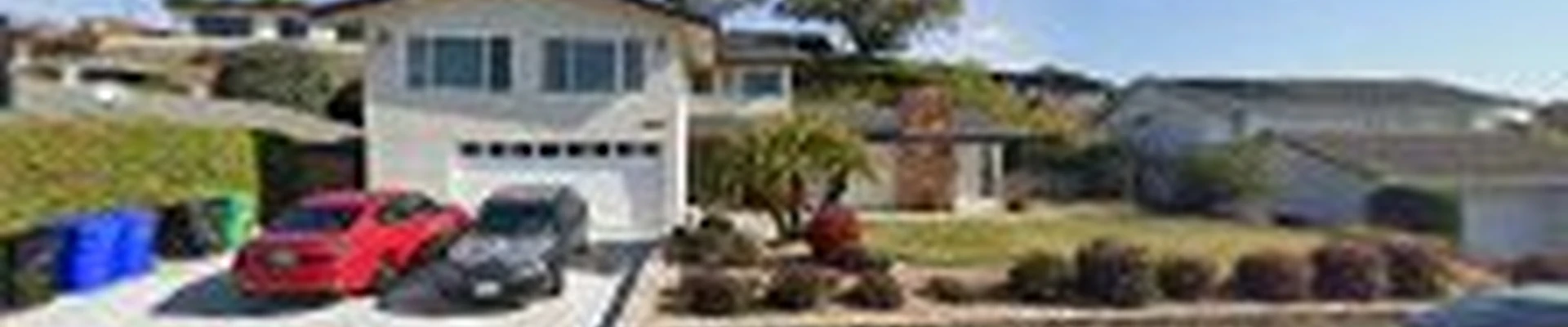 Tree Service San Diego