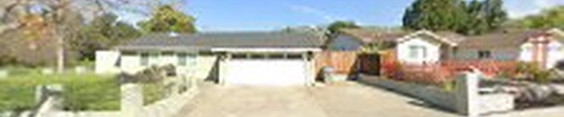 California Tree Solutions