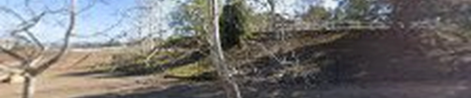 South Coast Tree Service