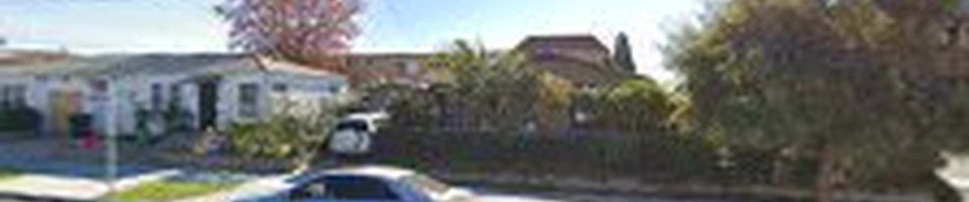 San Diego Tree Service Contractor