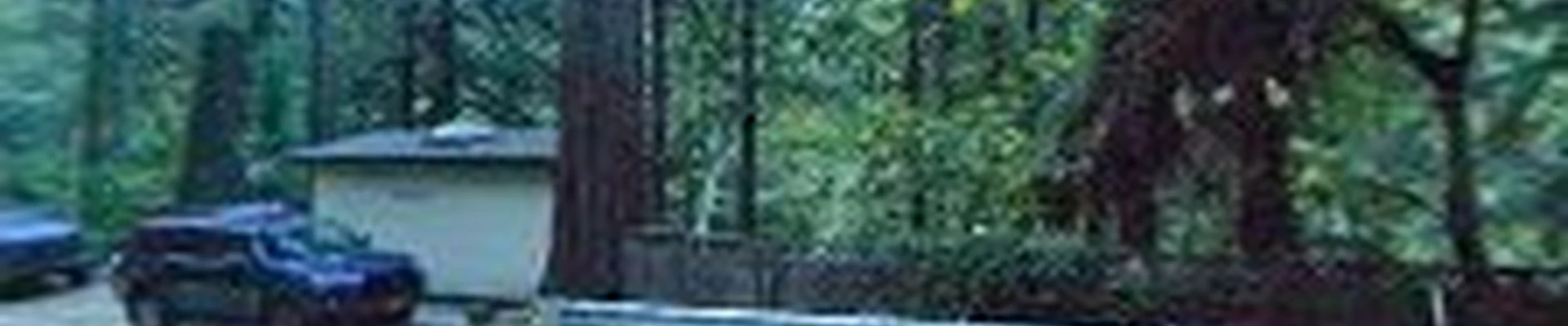 Santa Cruz Mountain Tree Service