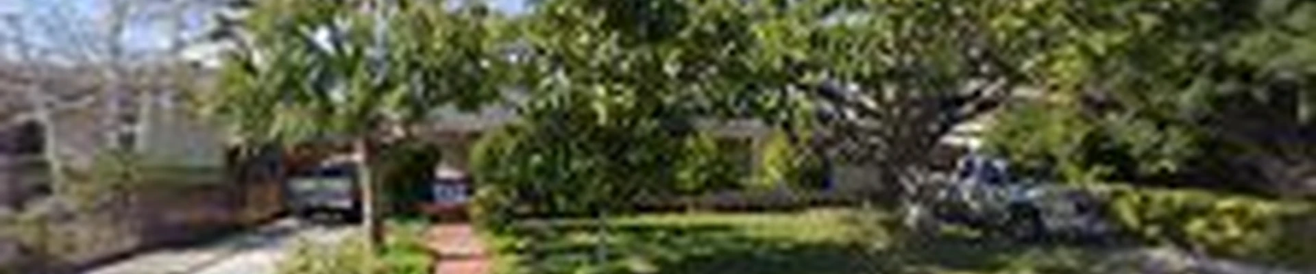 David Tree Consultant
