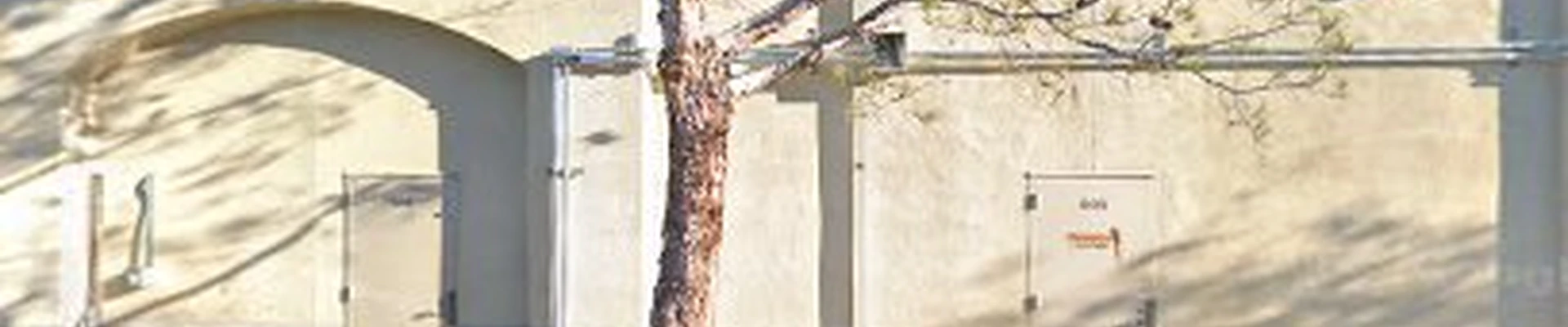 Mor Tree Service
