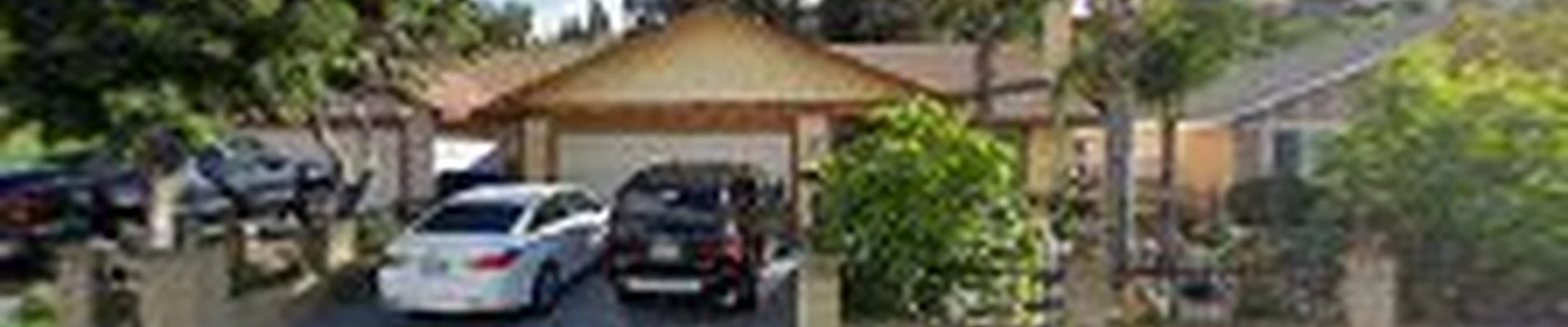 Red Maple Tree service