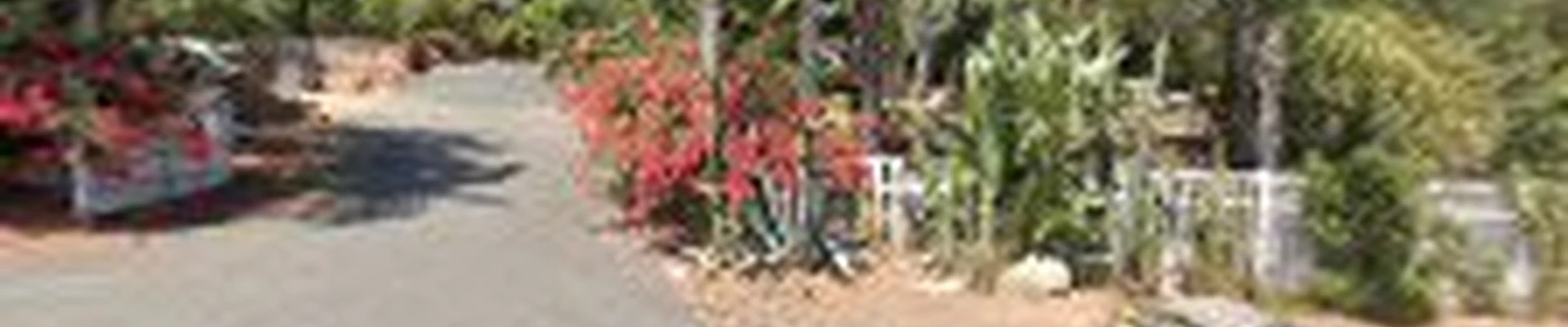 Arborcare Tree Care