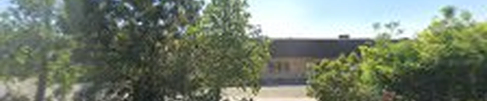 California Tree Service