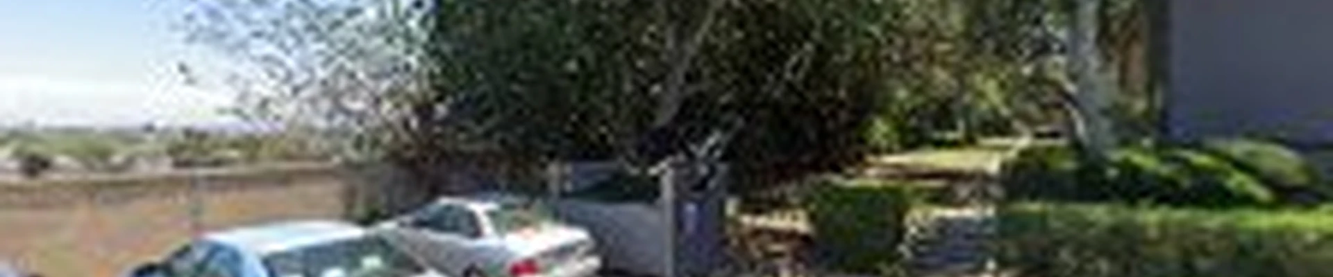 Best Way Tree Services