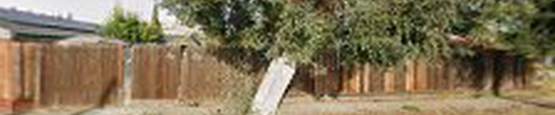 Reynoso Tree Service