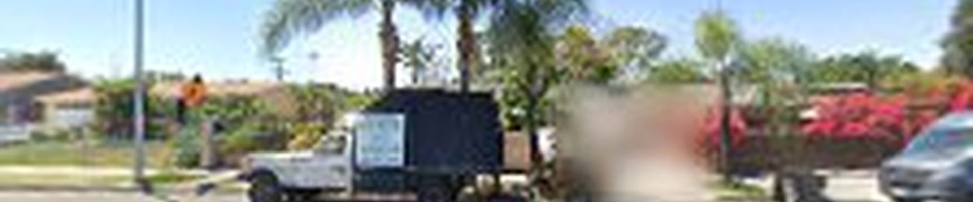 Profesional Grade Tree Care