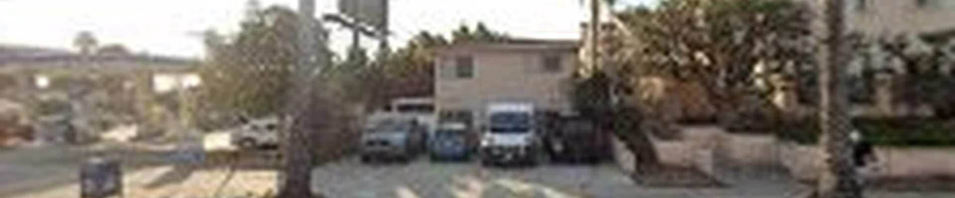Tree Doctor USA - Tree Care Services